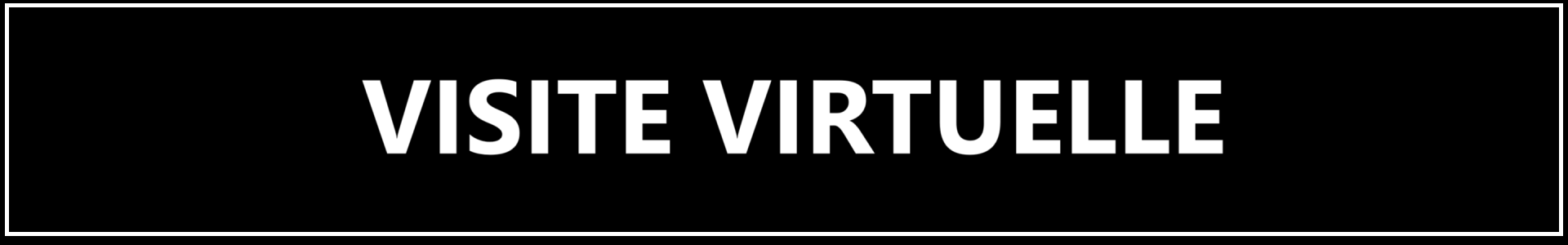 Visite
